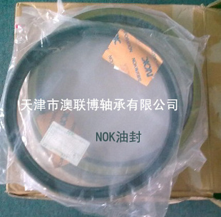 軸承附屬件-【澳聯(lián)博】骨架油封CR18734 進(jìn)口SKF油封型號(hào)查詢-軸承附屬件.