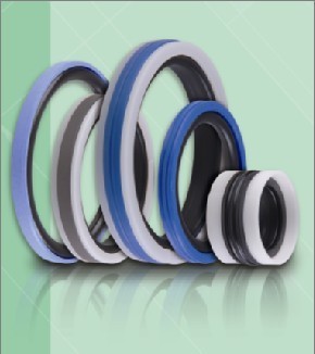 進口油封 進口密封 密封件--大連仟豐貿(mào)易